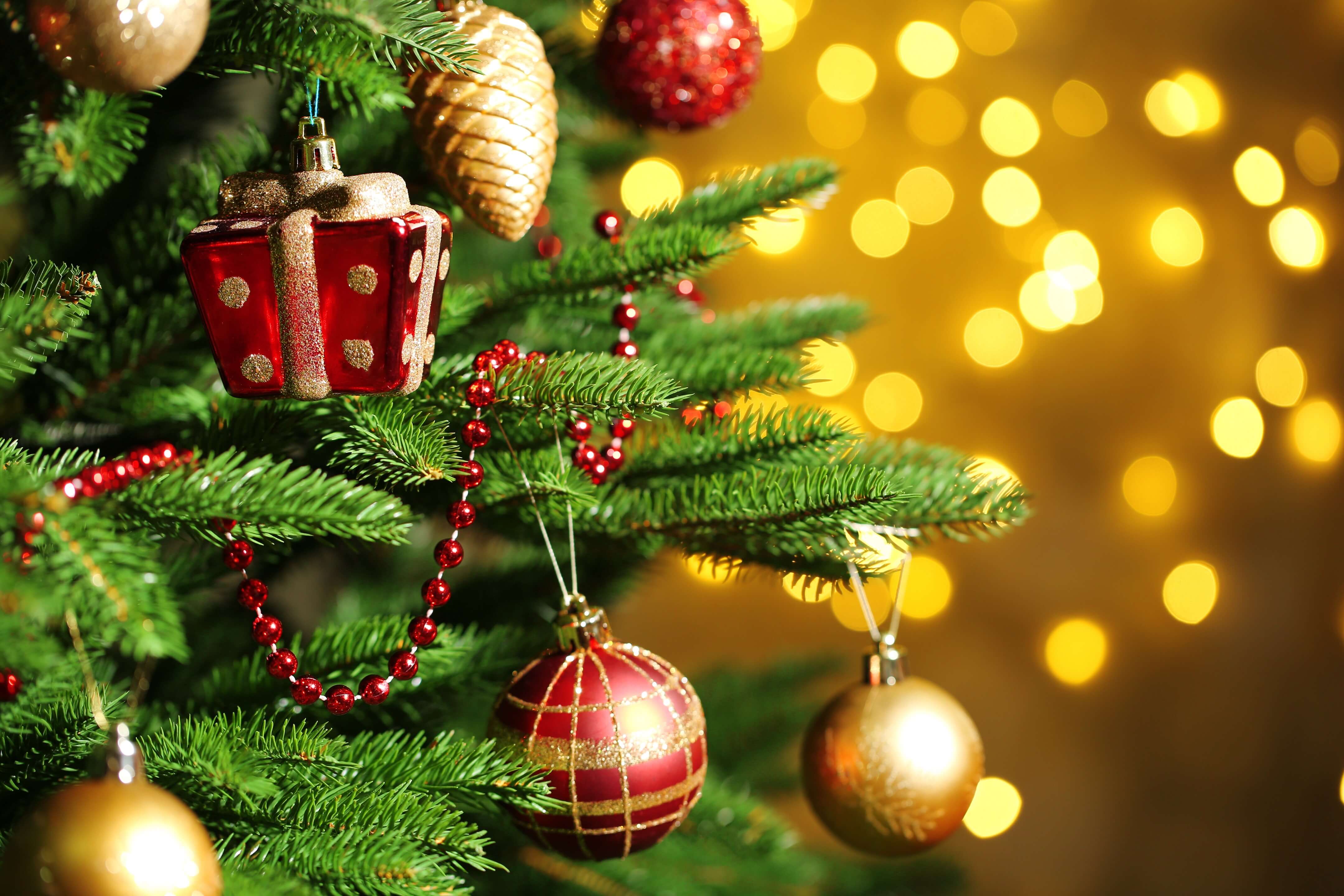 christmas_tree Christmas tree